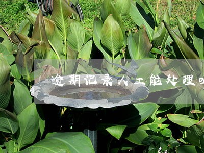 逾期记录人工能处理吗 逾期记录人工能处理吗