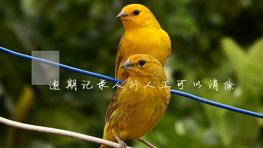 逾期记录人行人工可以消除