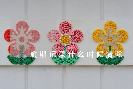 逾期记录什么时候清除 逾期记录什么时候清除