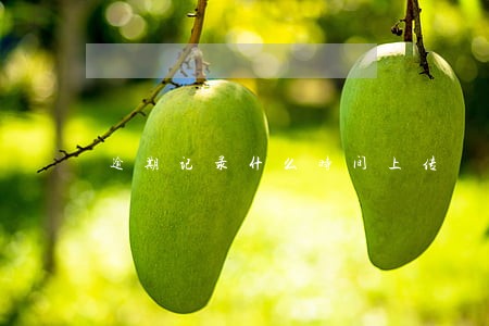 逾期记录什么时间上传 逾期记录什么时间上传
