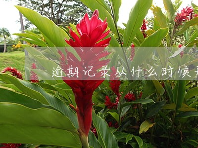 逾期记录从什么时候开始算五年 逾期记录从什么时候开始算五年