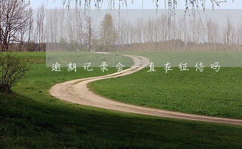 逾期记录会一直在征信吗 逾期记录会一直在征信吗