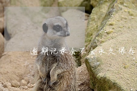 逾期记录会不会永久保存 逾期记录会不会永久保存