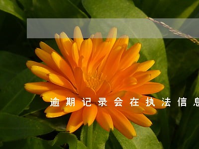 逾期记录会在执法信息网上显示吗 逾期记录会在执法信息网上显示吗