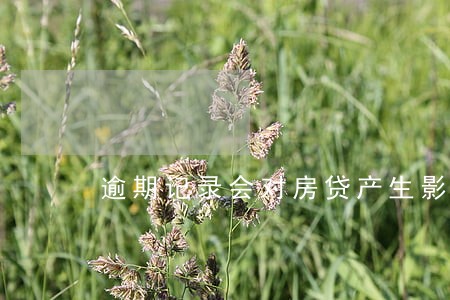 逾期记录会对房贷产生影响么 逾期记录会对房贷产生影响么