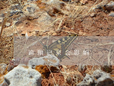 逾期记录会影响 逾期记录会影响