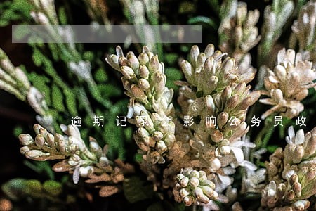 逾期记录会影响公务员政审吗 逾期记录会影响公务员政审吗