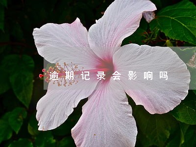 逾期记录会影响吗 逾期记录会影响吗