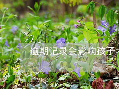 逾期记录会影响孩子考公务员吗 逾期记录会影响孩子考公务员吗