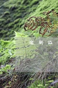 逾期记录会影响背景调查 逾期记录会影响背景调查