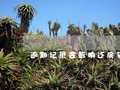 逾期记录会影响还房贷吗 逾期记录会影响还房贷吗