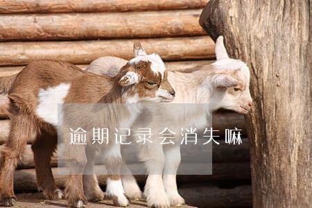 逾期记录会消失嘛 逾期记录会消失嘛