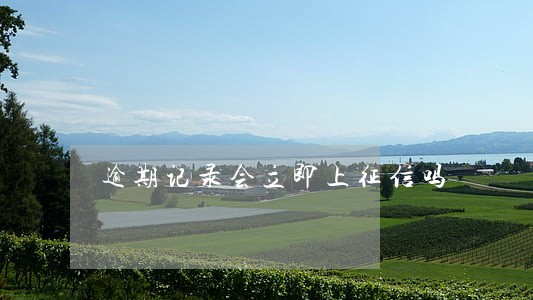 逾期记录会立即上征信吗