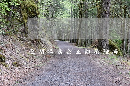 逾期记录会立即清除吗 逾期记录会立即清除吗