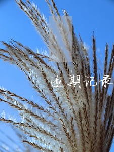 逾期记录会给担保人产生影响吗 逾期记录会给担保人产生影响吗