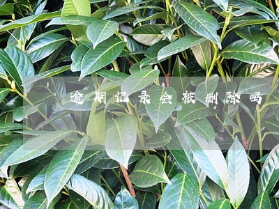 逾期记录会被删除吗 逾期记录会被删除吗