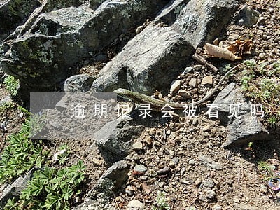 逾期记录会被看见吗 逾期记录会被看见吗