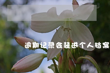 逾期记录会装进个人档案 逾期记录会装进个人档案
