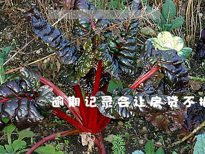 逾期记录会让房贷不批吗 逾期记录会让房贷不批吗