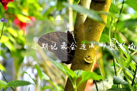 逾期记录会造成哪些影响