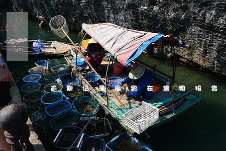 逾期记录保留在信用报告中还款 逾期记录保留在信用报告中还款
