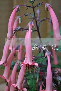 逾期记录保留超过五年 逾期记录保留超过五年