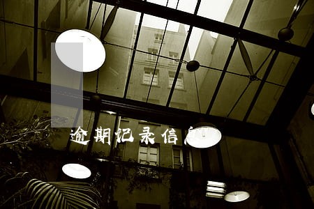 逾期记录信息 逾期记录信息