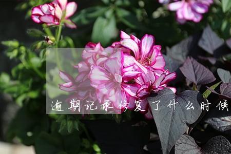 逾期记录修复了什么时候可以解封 逾期记录修复了什么时候可以解封