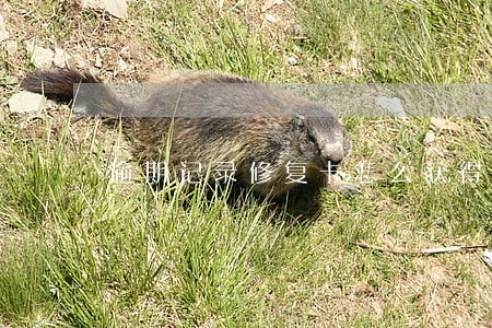 逾期记录修复卡怎么获得 逾期记录修复卡怎么获得