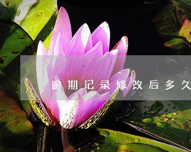 逾期记录修改后多久才能清除 逾期记录修改后多久才能清除