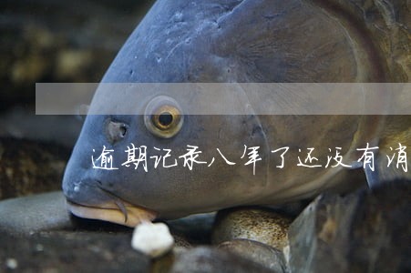 逾期记录八年了还没有消除 逾期记录八年了还没有消除