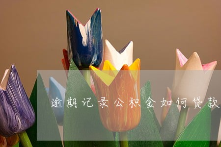 逾期记录公积金如何贷款 逾期记录公积金如何贷款