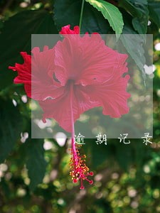 逾期记录减少了一个月 逾期记录减少了一个月
