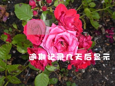 逾期记录几天后显示 逾期记录几天后显示