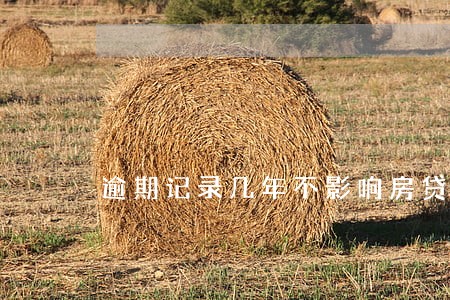 逾期记录几年不影响房贷 逾期记录几年不影响房贷