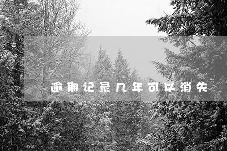 逾期记录几年可以消失 逾期记录几年可以消失