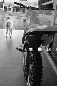 逾期记录几年才能消除 逾期记录几年才能消除