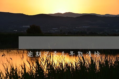 逾期记录几年能清除 逾期记录几年能清除
