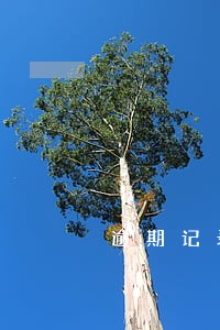 逾期记录几次贷不了款 逾期记录几次贷不了款