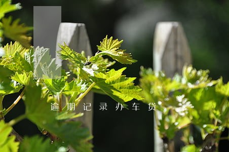 逾期记录办车贷 逾期记录办车贷
