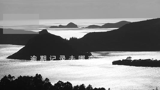 逾期记录去哪查 逾期记录去哪查