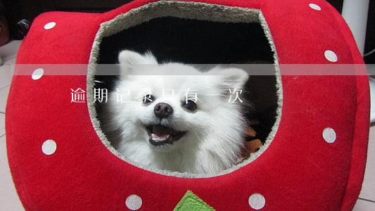 逾期记录只有一次 逾期记录只有一次