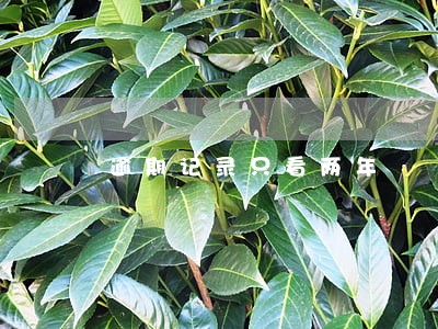 逾期记录只看两年 逾期记录只看两年