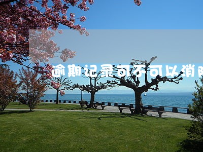 逾期记录可不可以消除 逾期记录可不可以消除