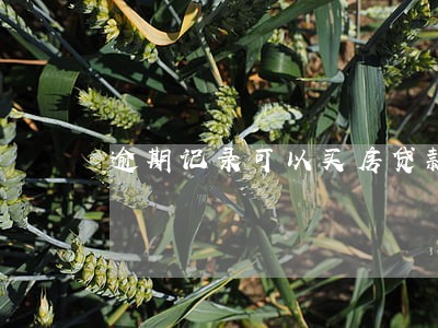 逾期记录可以买房贷款