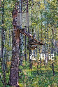 逾期记录可以买房贷款买房 逾期记录可以买房贷款买房