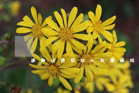 逾期记录可以人为清除吗 逾期记录可以人为清除吗