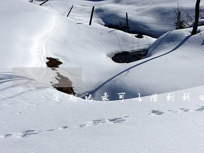 逾期记录可以借到钱吗 逾期记录可以借到钱吗