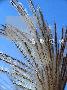 逾期记录可以协商撤销吗 逾期记录可以协商撤销吗