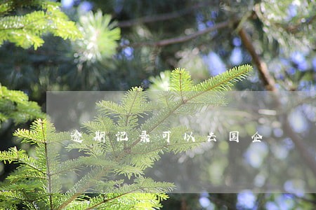 逾期记录可以去国企 逾期记录可以去国企